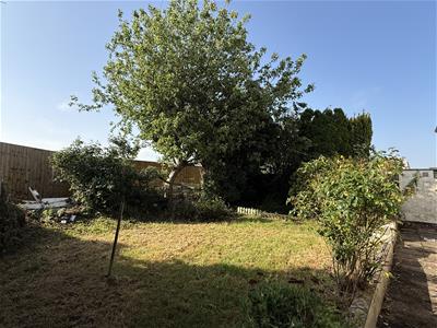 Picture 15